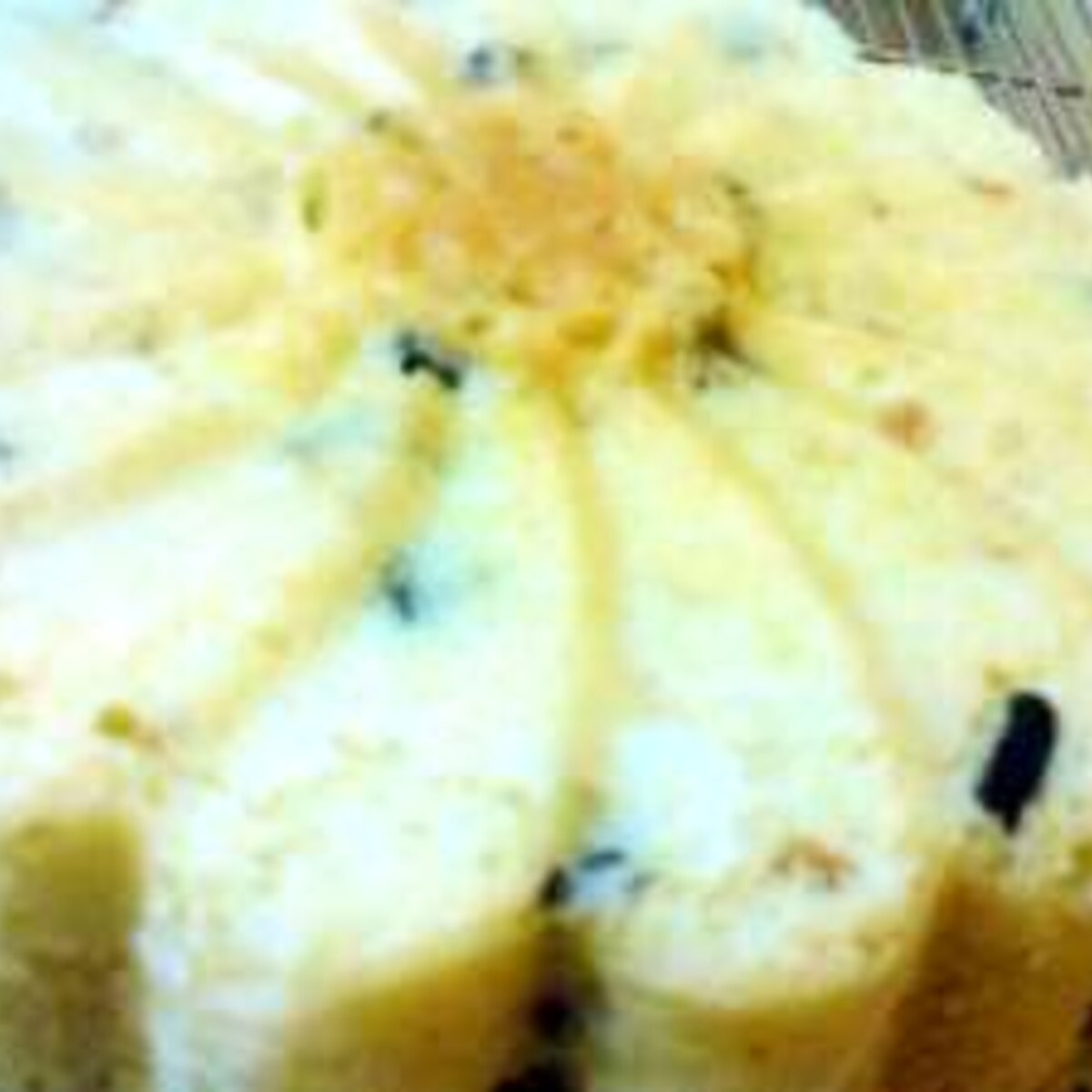 印象派 ビジュアル からに変化する ケーキ 型 バター Garcons Club Jp